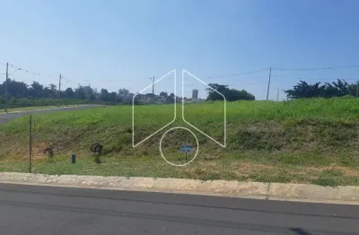 Terreno à venda na Rua José Guilherme Miranda, 10684, Jardim Tropical, Marília
