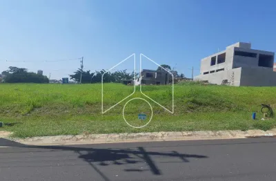 Terreno à venda na Rua José Guilherme Miranda, 10679, Jardim Tropical, Marília