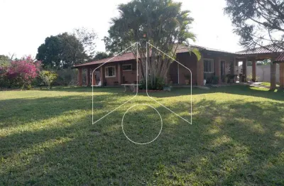 Chácara / sítio com 4 quartos à venda na Avenida José Paschoal Gervásio, 0, 51001, Sítios de Recreio Letícia (Padre Nóbrega), Marília