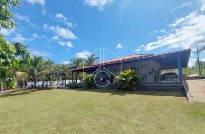 Chácara / sítio com 3 quartos à venda na Rua São Luiz, 56, Centro, Marília