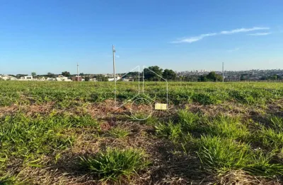 Terreno à venda na Rua Sargento José Biudes, 1118, Parque Residencial Novo Horizonte, Marília