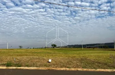 Terreno à venda na Avenida João Procópio da Silva, 93, Jardim Esmeralda, Marília