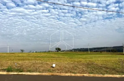 Terreno à venda na Avenida João Procópio da Silva, 82, Jardim Esmeralda, Marília