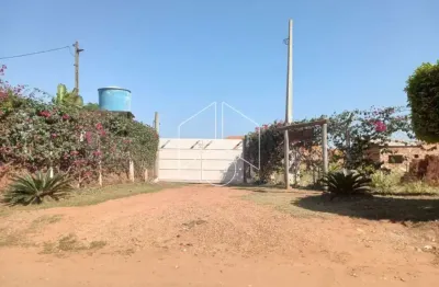 Chácara / sítio com 3 quartos à venda na Avenida Sampaio Vidal, 10860, Padre Nóbrega, Marília