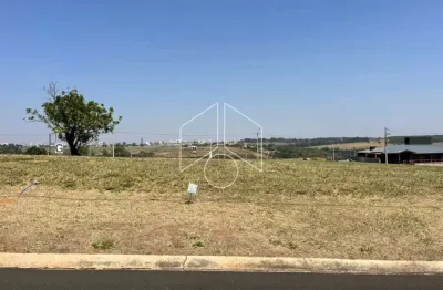 Terreno à venda na Avenida João Procópio da Silva, 100, Jardim Esmeralda, Marília