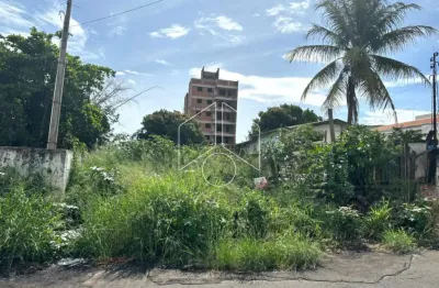 Terreno à venda na Rua Rodrigues Alves, 100113, Alto Cafezal, Marília