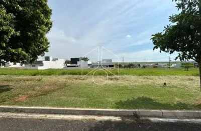 Terreno à venda na Avenida Professor José de Carvalho, 20084, Residencial Verana Parque Alvorada, Marília