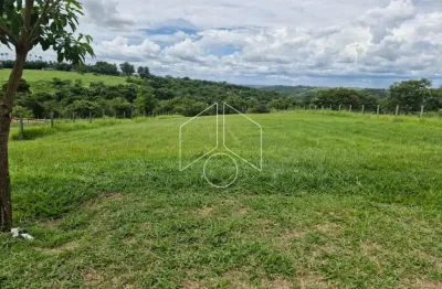 Terreno em condomínio fechado à venda na Rua Carlos Alberto Bazzo, 10573, Parque Residencial Santa Gertrudes, Marília