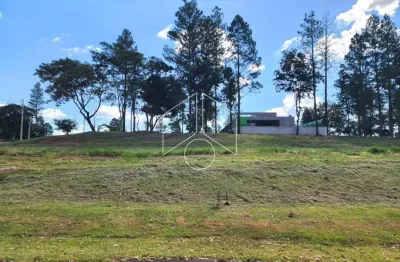 Terreno à venda na Avenida das Grevilhas, 173, Loteamento Residencial Vale do Canaã, Marília