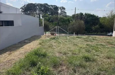 Terreno à venda na Avenida João Procópio Da Silva, Quadra C, 80083, Jardim Esmeralda, Marília