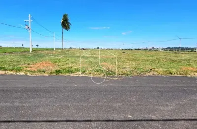 Terreno à venda na Rua Aparecida Dos Santos, 20088, São Paulo, Marília