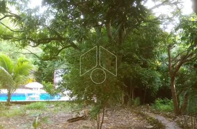 Chácara / sítio com 2 quartos à venda na Rua Francisco Sampaio Porto, 2131, Jardim Virgínia, Marília