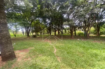 Chácara / sítio à venda na Rua José Firmino, 7091, Sítios de Recreio Portal do Vale, Marília