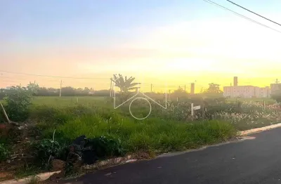 Terreno à venda na Rua Magali Aparecida Pinha Amaral Alonso, 77, Marília, Marília