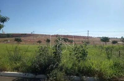 Terreno à venda na Rua Magali Aparecida Pinha Amaral Alonso, 68, Parque das Flores, Marília