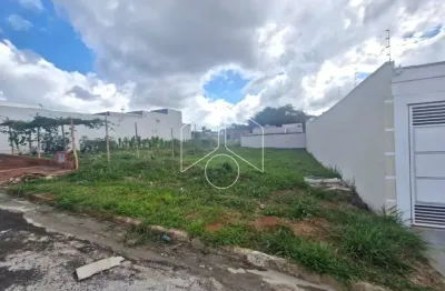 Terreno à venda na Rua Anesio Gualtieri, 80, Sérgio Roim (Padre Nóbrega), Marília