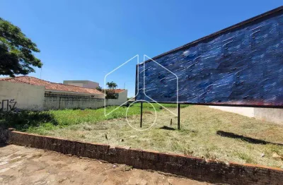 Terreno comercial à venda na Avenida Rio Branco, 94, Alto Cafezal, Marília