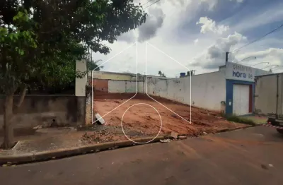 Terreno comercial à venda na Rua Coroados, 10690, Alto Cafezal, Marília