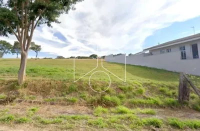 Terreno comercial à venda na Rua dos Tucunarés, 104, Jardim Maria Martha, Marília