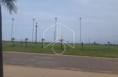 Terreno comercial à venda na Rodovia Comandante João Ribeiro De Barros, Esquina Com Rua Irineu Martins, 80, Centro (Lácio), Marília