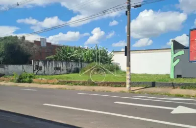 Terreno comercial à venda na Rua Quinze de Novembro, 52, Somenzari, Marília