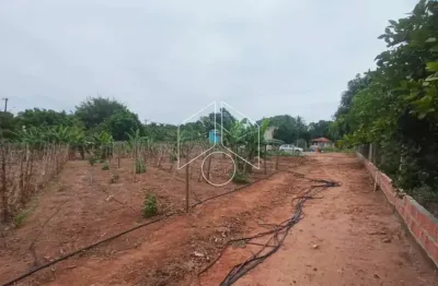 Chácara / sítio à venda na Área Rural, 89, Área Rural de Marília, Marília