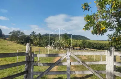 Chácara / sítio à venda na Avenida José da Silva Nogueira Junior, 67, Mirante, Marília