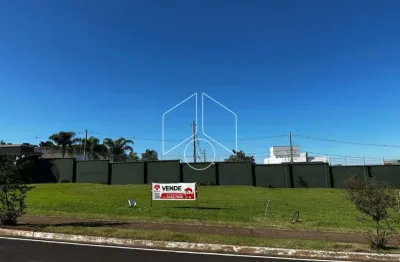 Terreno comercial à venda na Avenida Doutor José Guimarães Toni, 60671, Jardim América, Marília