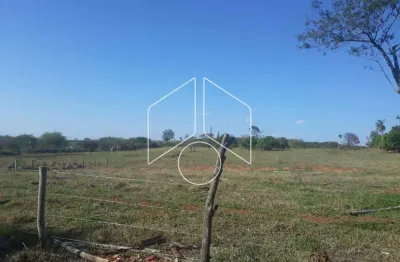 Terreno comercial à venda na Rodovia Dona Leonor Mendes De Barros, Km 133, 93, Área Rural de Marília, Marília
