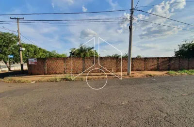 Terreno comercial à venda na Rua das Piracanjubas, 79, Jardim Marajá, Marília