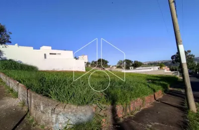 Terreno comercial à venda na Rua Sete de Setembro, 66, Alto Cafezal, Marília