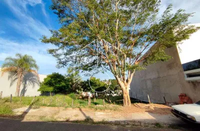 Terreno comercial à venda na Rua São Carlos, 56, Alto Cafezal, Marília