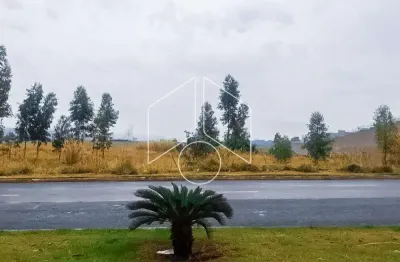 Terreno comercial à venda na Avenida Doutor José Guimarães Toni, 55, Jardim América, Marília