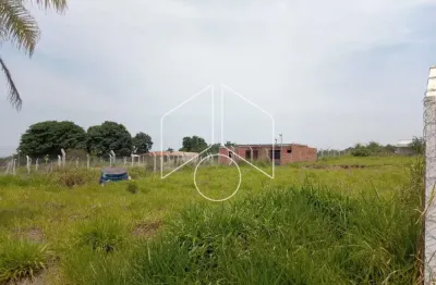 Terreno comercial à venda na Rua Sábia, 64, Dirceu (Distrito de Marilia), Marília