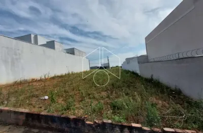 Terreno comercial à venda na Rua Elcio Assis Machado, 93, Jardim Florença, Marília