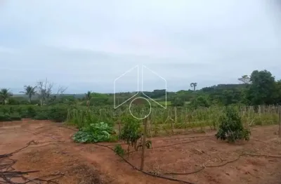 Chácara / sítio à venda na Rua Sinésio Plates, 98, Área Rural de Marília, Marília