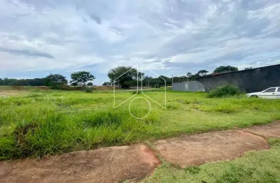 Terreno comercial à venda na Rua Honório Queiros Coutinho, 56, Residencial Vida Nova Maracá (Padre Nobrega), Marília