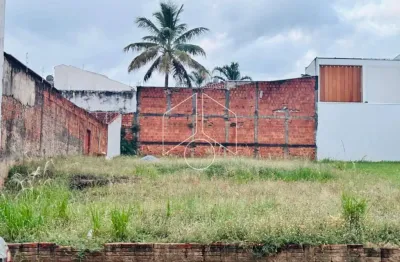 Terreno comercial à venda na Rua Salvador Brabo, 76, Jardim Maria Martha, Marília