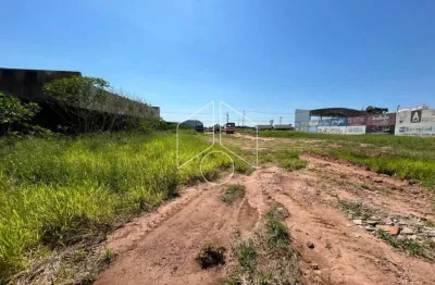 Terreno comercial à venda na Avenida Antonieta Altenfelder, 57, Jardim Santa Antonieta, Marília