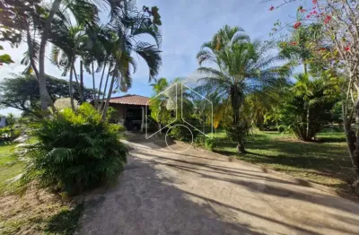 Chácara / sítio com 6 quartos à venda na Rodovia Comandante João Ribeiro Barros, 61, Parque das Indústrias, Marília