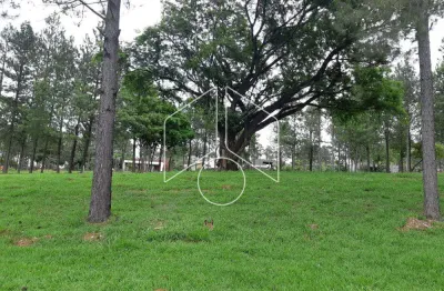 Terreno à venda na Avenida das Grevilhas, 161, Loteamento Residencial Vale do Canaã, Marília