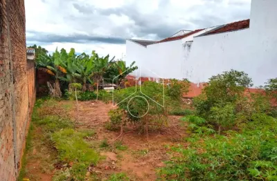 Terreno à venda na Rua José Pedro Pecegato, 66, Jardim Marajó, Marília