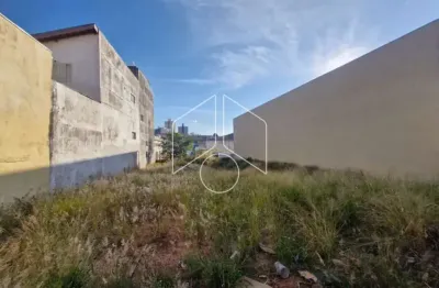 Terreno comercial à venda na Rua Bonfim, 30498, Alto Cafezal, Marília