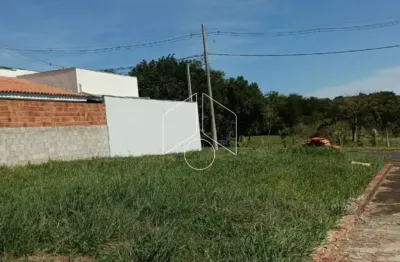 Terreno comercial à venda na Rua Anesio Gualtieri, 69, Sérgio Roim (Padre Nóbrega), Marília