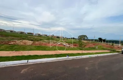 Terreno à venda na Rua Agnaldo Ribeiro Da Silva, 81, Parque das Flores, Marília