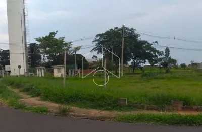 Terreno comercial à venda na Rua João Calandrim, 72, Residencial Montana (Padre Nóbrega), Marília