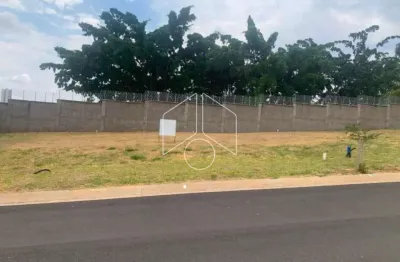 Terreno à venda na Rua José Guilherme Miranda, 10687, Jardim Tropical, Marília