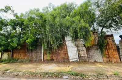 Terreno comercial à venda na Rua Alexandre Chaia, 100, Jardim Esplanada, Marília
