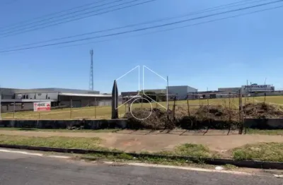 Terreno comercial à venda na Avenida Helena Menóia Borghetti, 69, Centro (Lácio), Marília