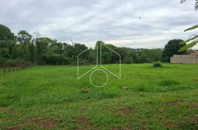 Terreno à venda na Avenida João Spadoto, 30259, Sítios de Recreio Santa Rosa (Padre Nóbrega), Marília